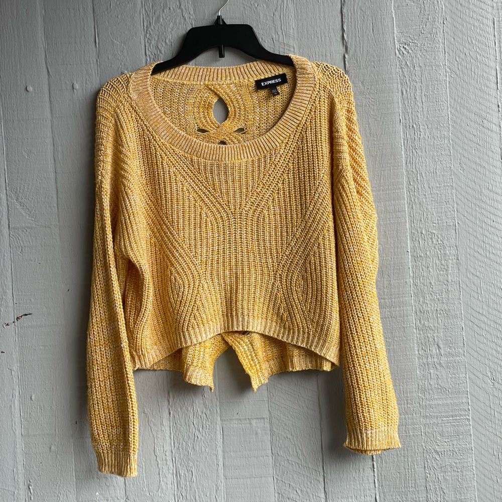 Express sweater SZ XSmall